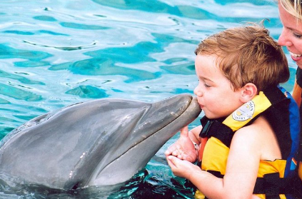 Encuentro con Delfines